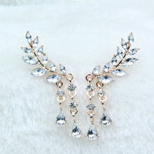 Load image into Gallery viewer, Women's Angel Wings Stud Earrings Rhinestone Inlaid Alloy Ear Jewelry Party Earring Gothic Feather Brincos Fashion 2017